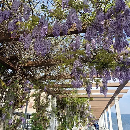Perla Sul - Luxuryapartment - Centre Lejlighed Arona